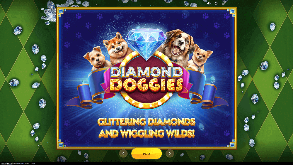 Diamond Doggies Rules Diamond Doggies Rules