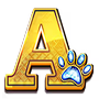 Ace