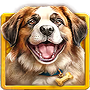 Saint Bernard